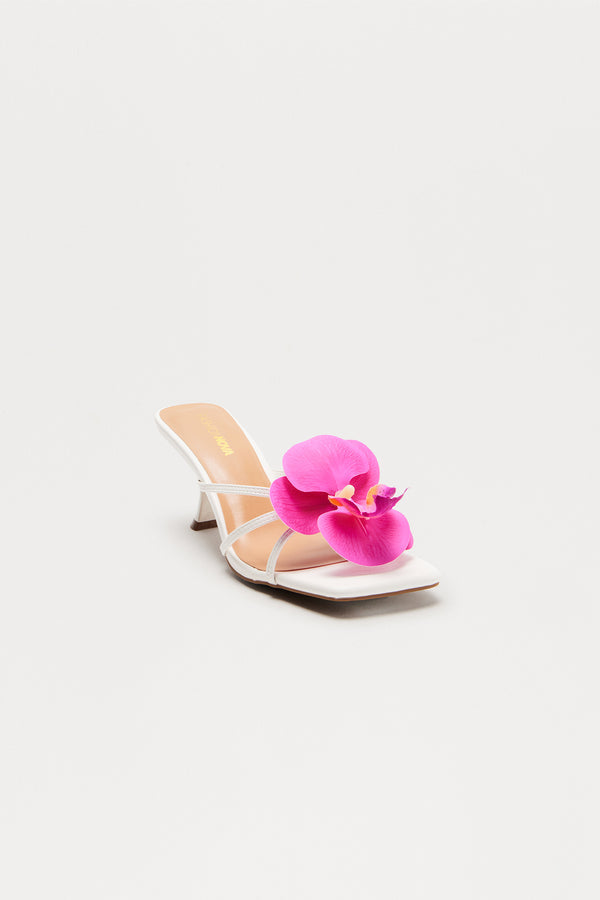 Hibiscus Honey Mules - White