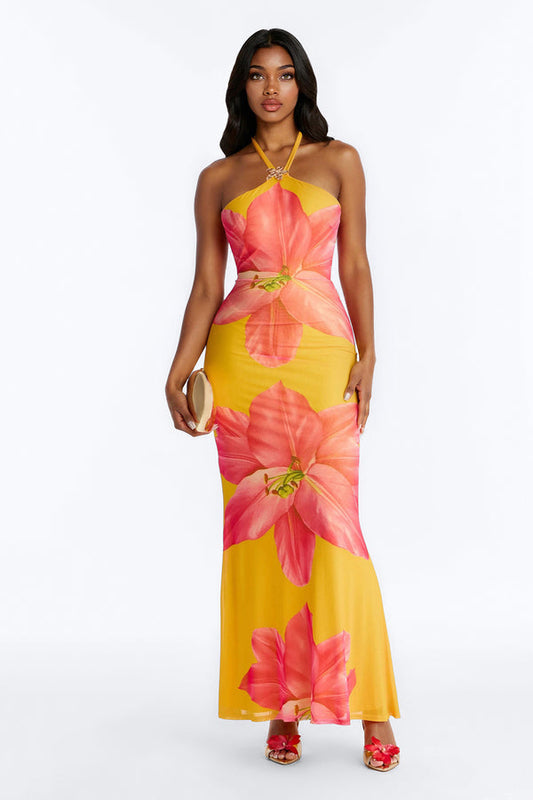 Imani Floral Mesh Maxi Dress - Orange Combo