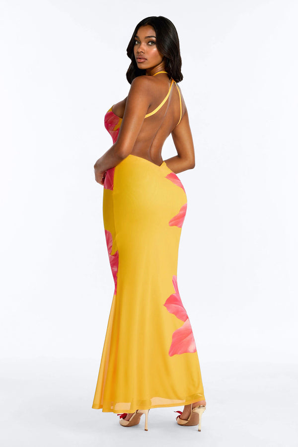 Imani Floral Mesh Maxi Dress - Orange Combo