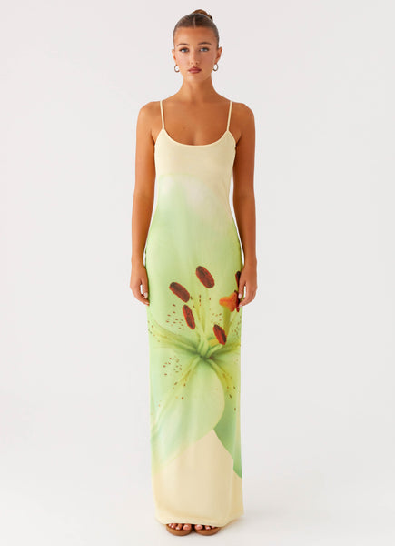 Bad News Mesh Maxi Dress - Yellow Lily - Yellow Lily