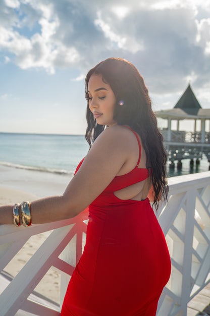 Island Petunia Luxe Maxi Dress